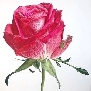 Meet your Posher, Olga